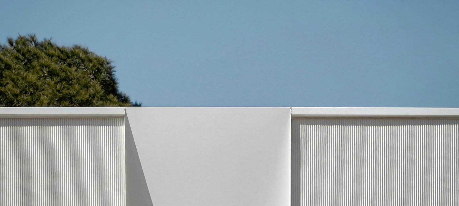 A clean white wall and a tree against a clear sky